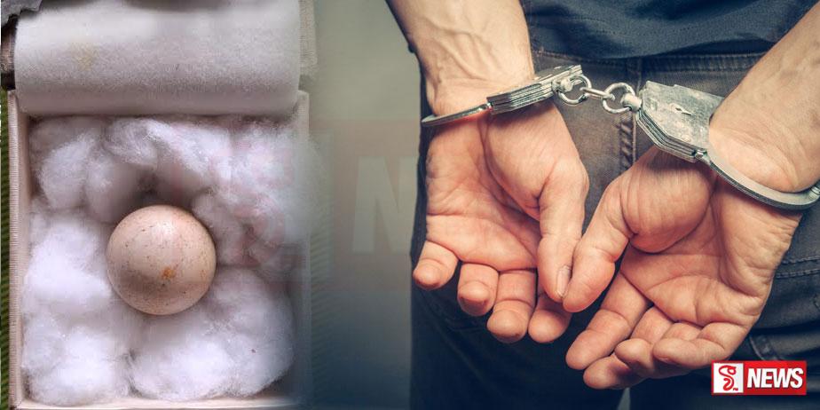 කෝටි 50කට මැණිකක් විණන්න ගිය සජබ මන්ත්රී ඇතුළු තිදෙනෙක් අත්අඩංගුවට