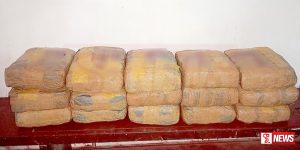 රුපියල් මිලියන 6කට අධික වටිනා කේරළ ගංජා සමග දෙදෙනෙක් කොටු