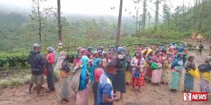 තලවර්ගේ වැඩ නැවැත්තුවට වතු කම්කරුවන් විරෝධතාවක