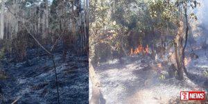 සමනළ ස්වභාවික රක්ෂිතයේ ගින්නක්