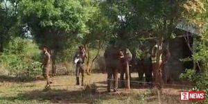 සුරියවැව වෙඩි හුවමාරුවේ අලුත්ම තොරතුරු