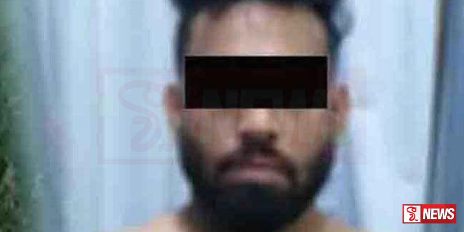 පළායාමට තැත් කළ වලස් කටාට අත්වූ ඉරණම