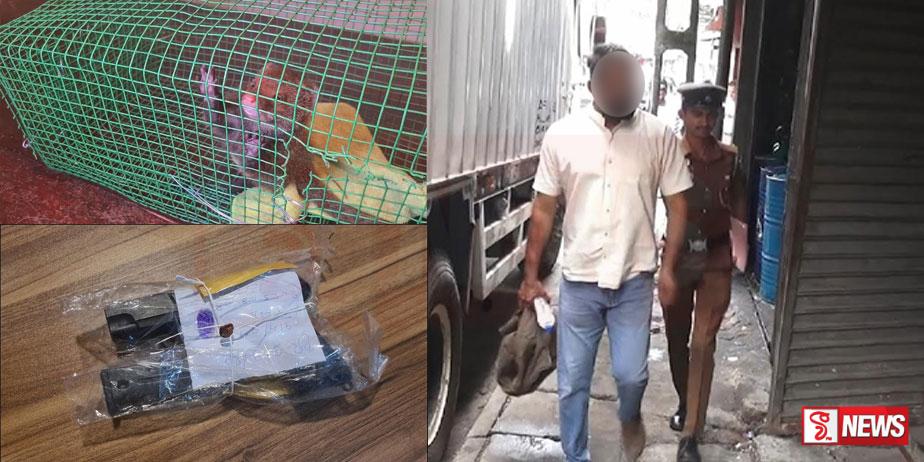 VIDEO : ගිනි අවියක් සහ මුගටි පැටියෙක් සමග සැප රියෙන් පැන යන්න හැදූ සැකකරු අත්අඩංගුවට