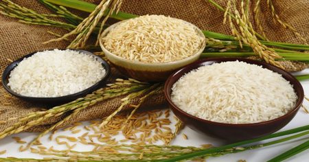 හාල් මාෆියාවට වැඩ වරදින ලකුණු – VIDEO –