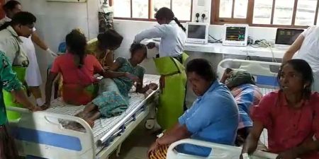 බඹර ප්රහාරයකින් වතු කම්කරුවන් පිරිසක් රෝහලට