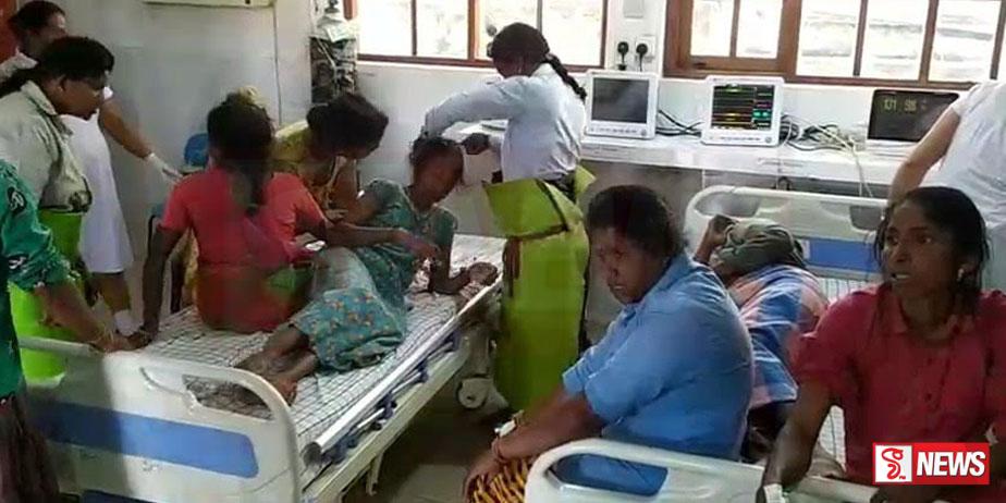 බඹර ප්රහාරයකින් වතු කම්කරුවන් පිරිසක් රෝහලට