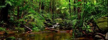 ජනාවාස සතියක් ප්රකාශයට පත් කෙරේ