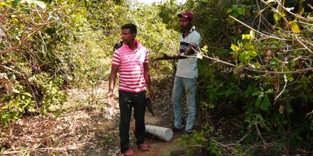 වැව් මායිමේ රක්ෂිත මායිම් ගල් දාලා