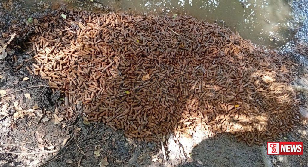 තඹුත්තේගම පෝලීසියට පතොරම් තොගයක් හමුවෙයි !