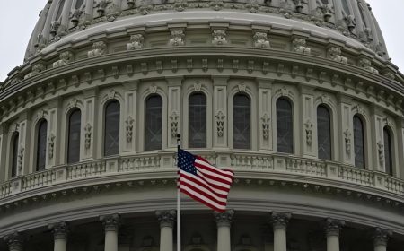 අමෙරිකානු රජයේ වසා දැමීමක්