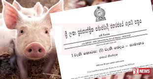 සූකර උණ රෝගය පැතිරීම වැලැක්වීමට අති විශේෂ ගැසට් නිවේදනයක්