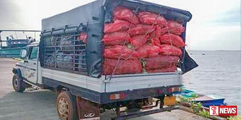 නීති විරෝධී බීඩි කොළ තොගයක් සමග දෙදෙනෙක් අත්අඩංගුවට