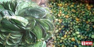 බුලත් මිල ඉහළට – විටක් 70-80 දක්වා ඉහළට
