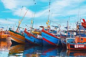 ගාල්ල ධීවර වරායේ හදිසි සෝදිසි මෙහෙයුමක්