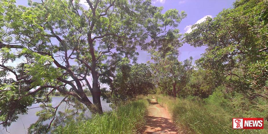 වැවි බැම්මේ මැරී සිටි මිනිහාට පන එයි