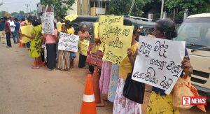 ලොකු ලුණු ගොවින් මහ පාරට