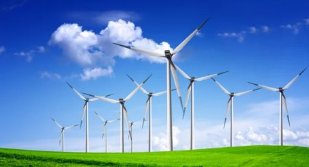 මන්නාරම් දූපතේ නව සුළං විදුලි ව්යාපෘති අත්හිටුවයි