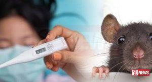 මී උණ ව්යාප්තවීමේ අවධානම ඉහළට