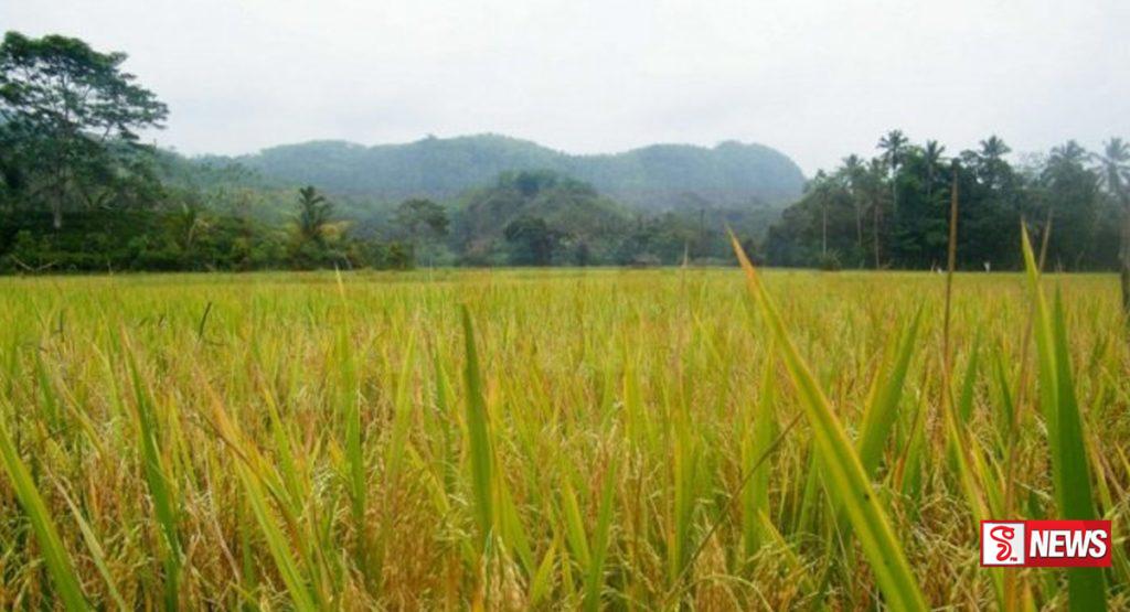 ගොවීන්ගේ ගැටළු විසදීමට විශේෂ සාකච්චාවක්