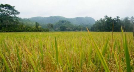 ගොවීන්ගේ ගැටළු විසදීමට විශේෂ සාකච්චාවක්