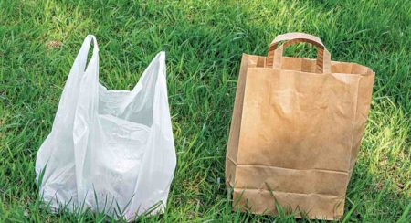 පොලිතීන් බෑග් වෙනුවට පරිසර හිතකාමී කඩදාසි බෑගයක්