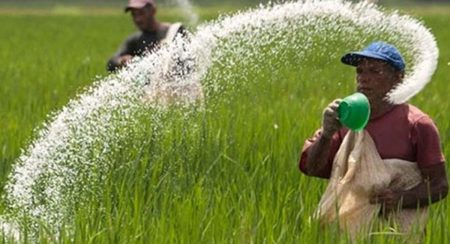 පොහොර සහනාධාර මිල සම්බන්ධයෙන් තීරණයක්