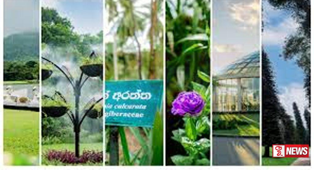 ජාතික උද්භිද උද්යාන දෙපාර්තමේන්තුවේ ආදායම ඉහළට