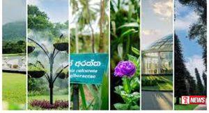 ජාතික උද්භිද උද්යාන දෙපාර්තමේන්තුවේ ආදායම ඉහළට