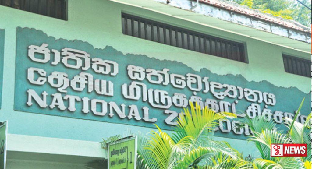 ජාතික සත්වෝද්යාන නැරඹීමට පැමිණි සංඛ්යාව5%වර්ධනයක්