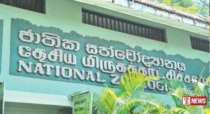 ජාතික සත්වෝද්යාන නැරඹීමට පැමිණි සංඛ්යාව5%වර්ධනයක්