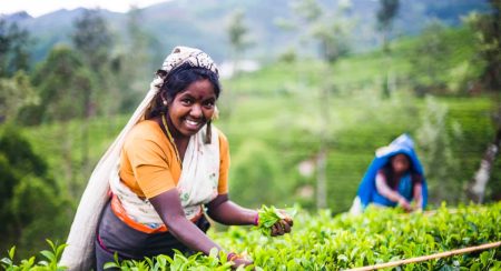 වතු කම්කරුවන්ගෙන් රජයට ප්රසංසා