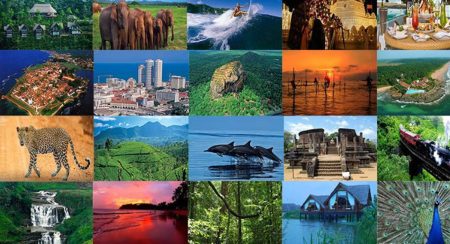 සංචාරක ආදායමේ වාර්තාගත ඉහළ යාමක්