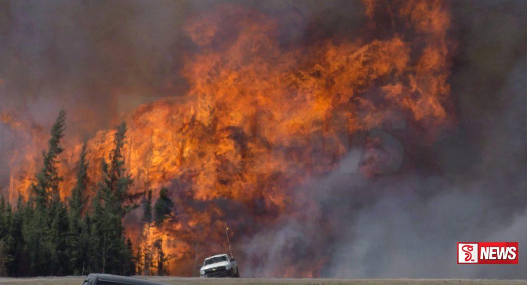 නවසීලන්තයේ දැවැන්ත ලැව් ගින්නක්