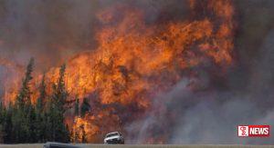 නවසීලන්තයේ දැවැන්ත ලැව් ගින්නක්