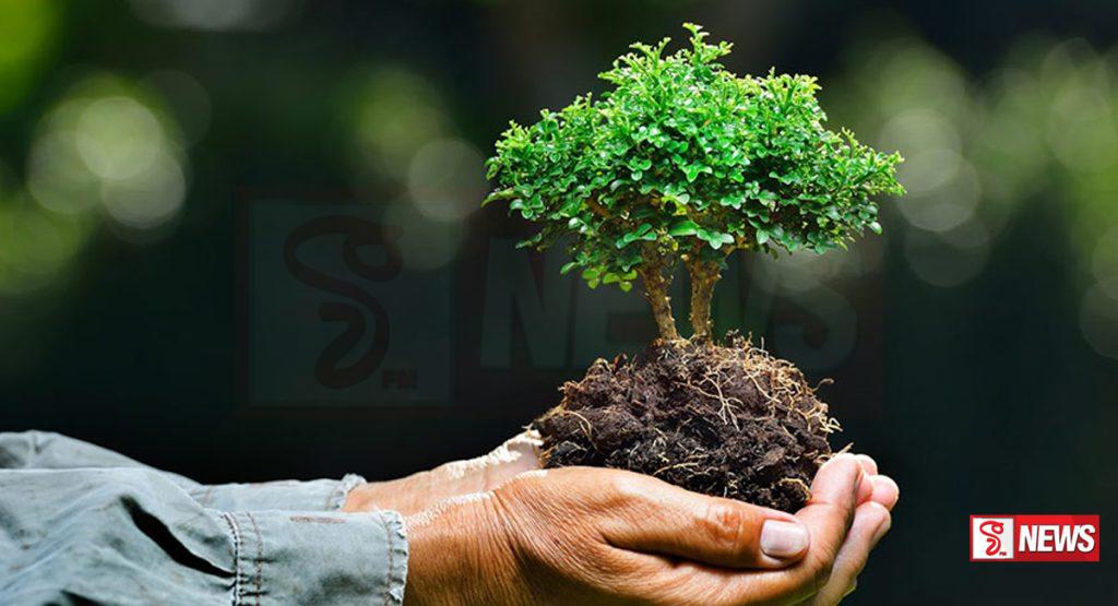 වන සුරැකුම ඒකාබද්ධ මෙහෙයුම් ඒකකය අද සිට ක්රියාත්මක කෙරේ