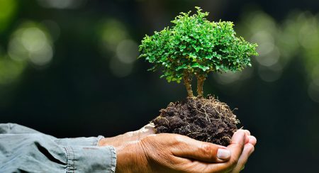 වන සුරැකුම ඒකාබද්ධ මෙහෙයුම් ඒකකය අද සිට ක්රියාත්මක කෙරේ