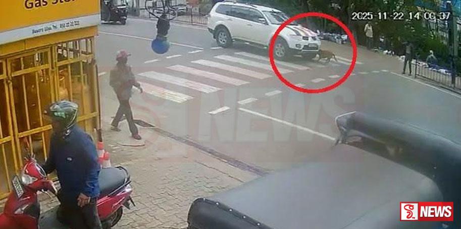 පින්කමකට ඇවිත් යන ගමන් කරපු තිරිසන් වැඩේ