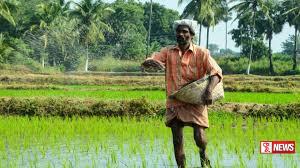 රට තුල පොහොර හිගයක් නෙමැති බවට සහතිකයක්