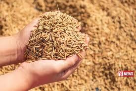 බිත්තර වී ගොවිපළවල් සඳහා රක්ෂණයක්