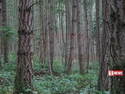 වනාන්තර හානිය දැනුම් දීමට නව දුරකතන අංකයක්