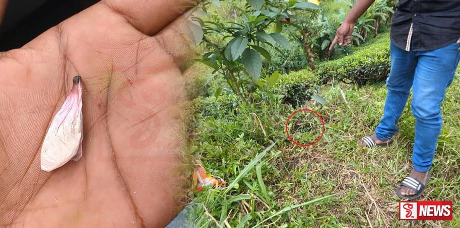 ඊසිකෑෂ් කුඩු බෙදිල්ල මාට්ටු වෙයි