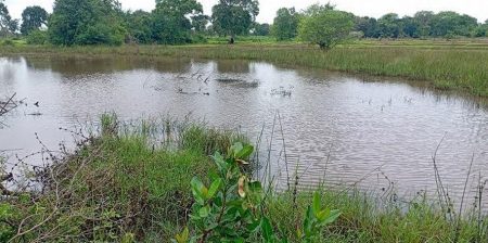 කඩ වු දේශපාලන පොරොන්දුවෙන් ගම්මු අසරණ වෙලා