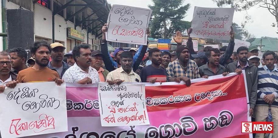 නුවරඑළිය ආර්ථිකය වසා දමා ව්යාපාරිකයන් සහ ගොවීන් උද්ඝෝෂණයක