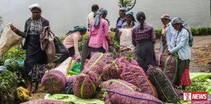 මේක ඉතිහාසගත වැටුප් වැඩිවීමක්