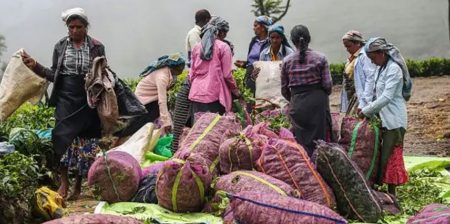 මේක ඉතිහාසගත වැටුප් වැඩිවීමක්