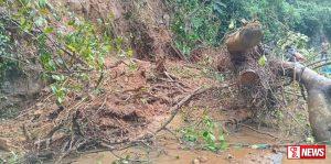 ගසක් කඩා වැටීමෙන් ගමනාගමනයට බාධා