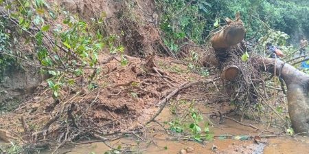 ගසක් කඩා වැටීමෙන් ගමනාගමනයට බාධා