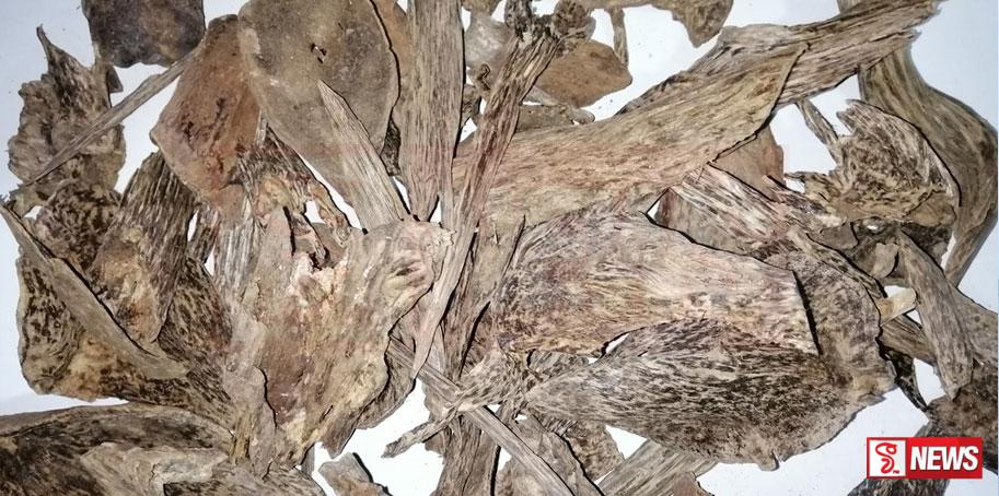 වල්ලපට්ටා තොගයක් සමග සැකකරුවන් තිදෙනෙක් අත්අඩංගුවට