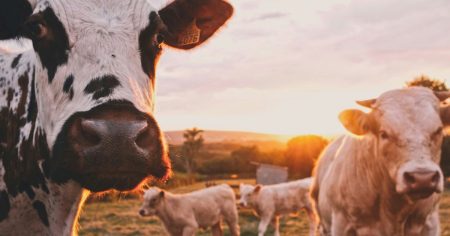 හදිසියේම මන්නාරම දිස්ත්රික්කය තුල තහනමක් ?