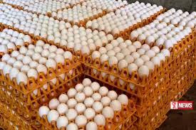 බිත්තර මිල වැඩි නොවන බවට නිෂ්පාදකයින්ගෙන් සහතිකයක්